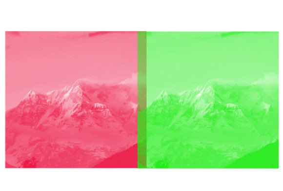 Unlock Bold Simplicity with the 2 Color Brush Set